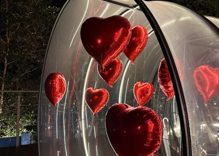 WhatsApp-Image-2025-06-25-at-20.43.34-scaled