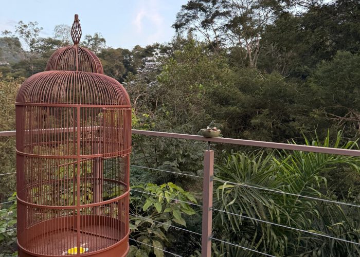 WhatsApp-Image-2025-06-25-at-21.34.31-scaled