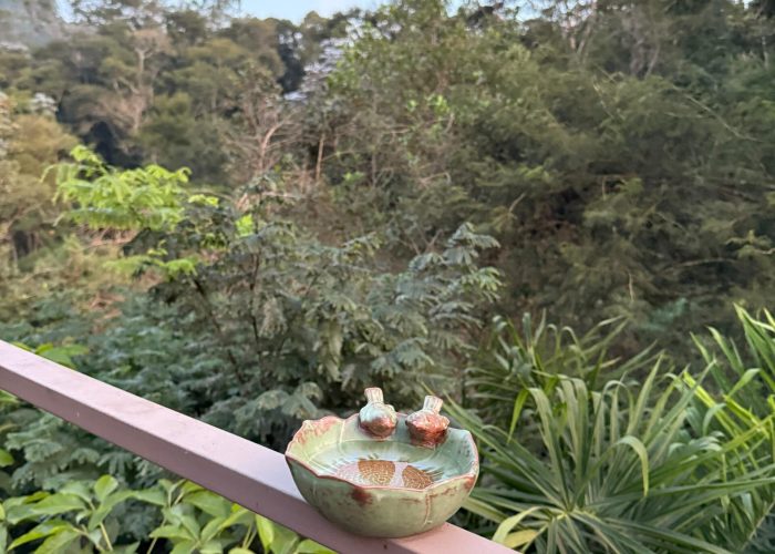 WhatsApp-Image-2025-06-25-at-21.34.35-scaled