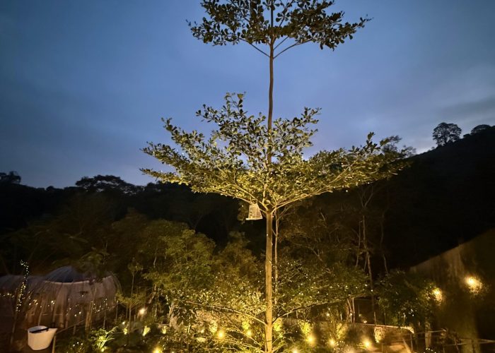 WhatsApp-Image-2025-06-25-at-21.34.36-1-scaled